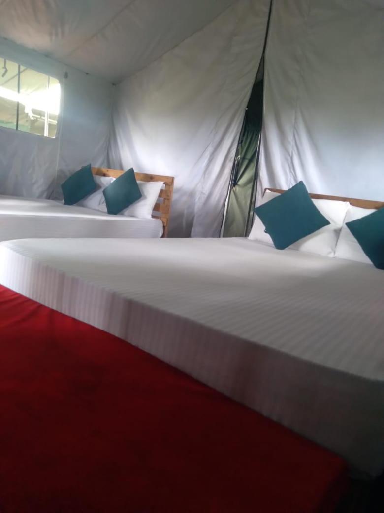Ella Glamping Hotel Kültér fotó