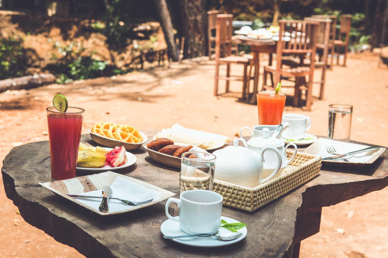 Ella Glamping Hotel Kültér fotó