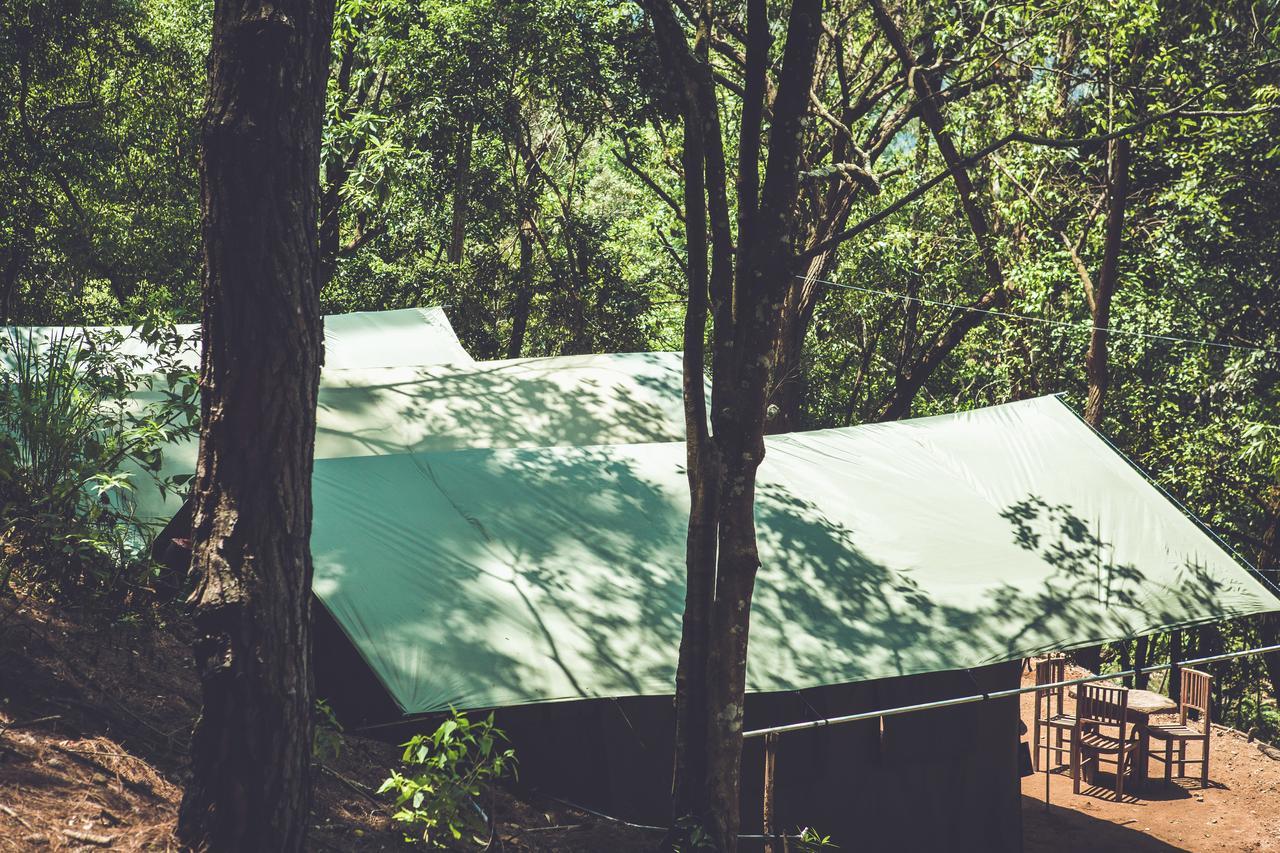 Ella Glamping Hotel Kültér fotó