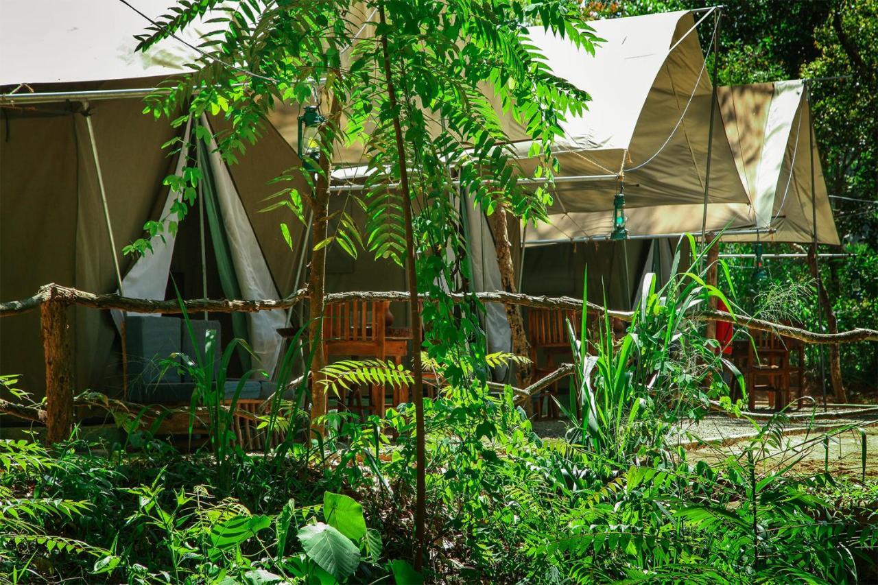 Ella Glamping Hotel Kültér fotó