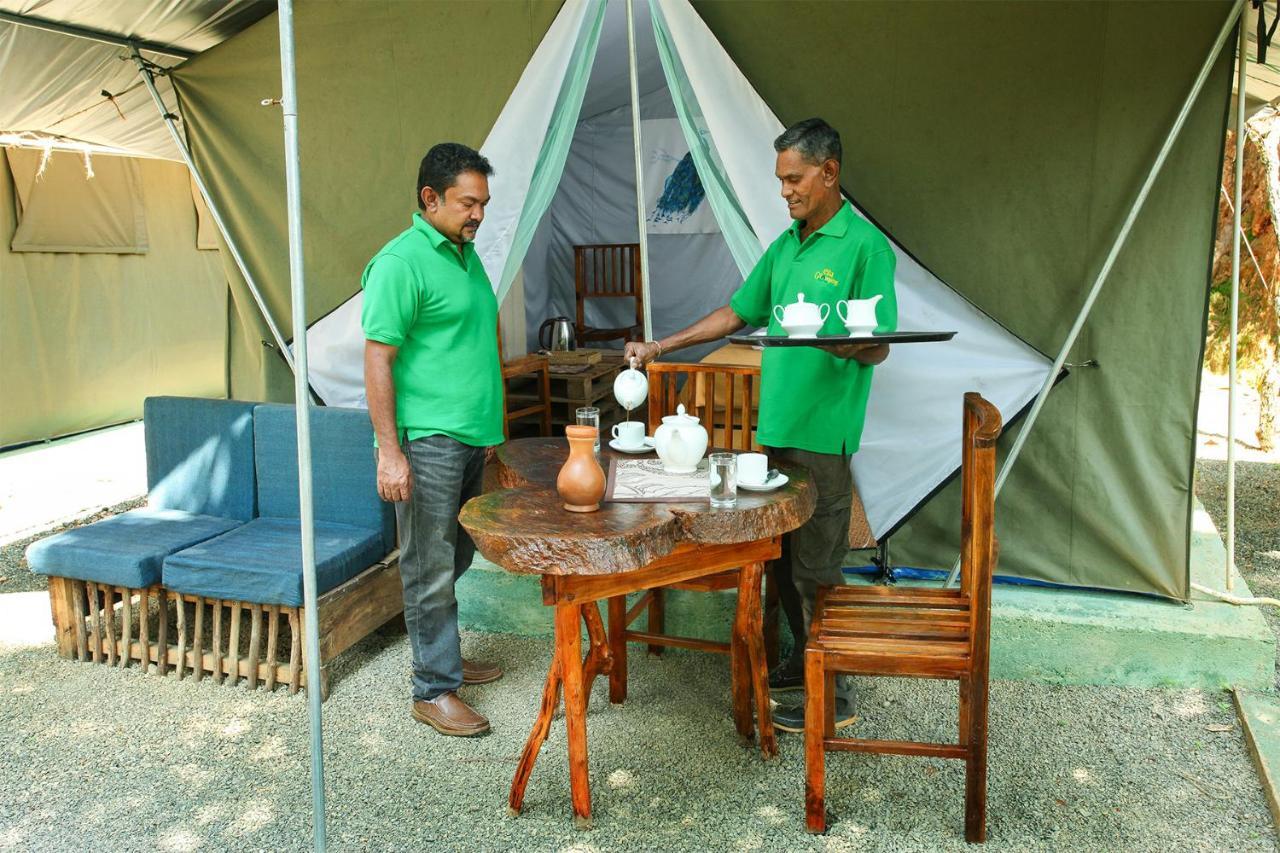 Ella Glamping Hotel Kültér fotó